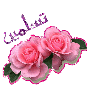:	56780.gif
: 169
:	44.7 