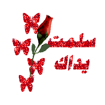 :	175743_1298647362.gif
: 99483
:	36.2 