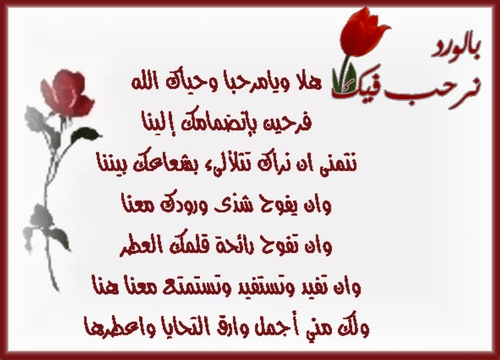 :	z6jixhgss5pxjinln18.gif
: 173
:	85.1 