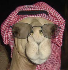 :	بعير.jpeg
: 183
:	9.3 