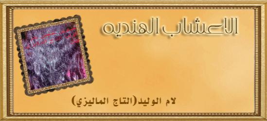 :	diتوقيعKLYX.jpg
: 435
:	22.6 